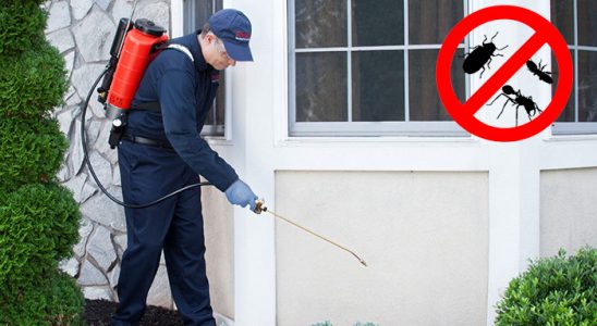 Amasra Bit İlaçlama böcek ilaçlama ve haşere kontrolü — ilaclama-tr.com